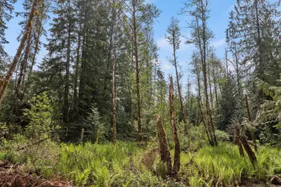 25402 S Schockley Road, Beavercreek, OR 97004 - Photo 42
