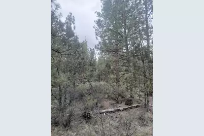0 Tableland Road, Chiloquin, OR 97624 - Photo 4