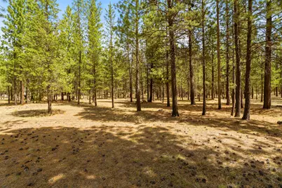 51986 Black Pine Way, La Pine, OR 97739 - Photo 8
