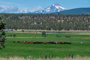 71275 Holmes Rd, Sisters, OR 97759 - Photo 122