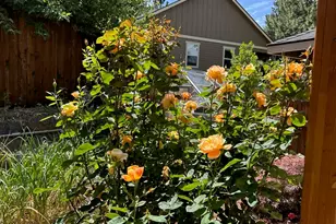 62944 Fresca St, Bend, OR 97703 - Photo 26
