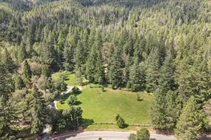 4280 Lower Wolf Creek Rd, Wolf Creek, OR 97497 - Photo 6
