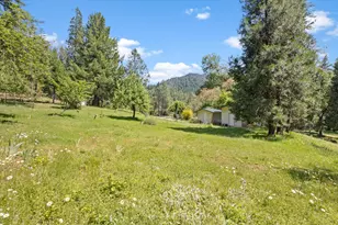 4280 Lower Wolf Creek Rd, Wolf Creek, OR 97497 - Photo 26