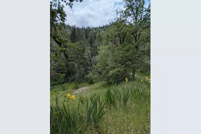 3315 Sardine Creek Road, Gold Hill, OR 97525 - Photo 50