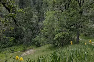 3315 Sardine Creek Rd, Gold Hill, OR 97525 - Photo 50