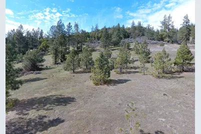 420 Tycer Crossing, Cave Junction, OR 97523 - Photo 2