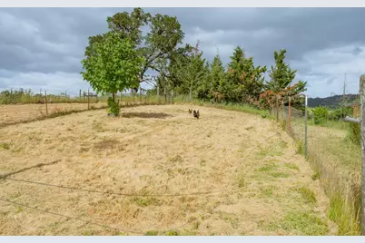 9114 Old Highway 99 S, Dillard, OR 97432 - Photo 60