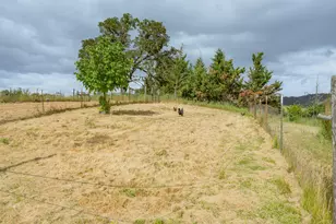 9114 Old Hwy 99 S, Winston, OR 97496 - Photo 60
