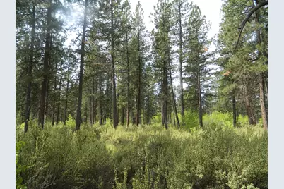 3000 Hwy 422 N #3000, Chiloquin, OR 97624 - Photo 8