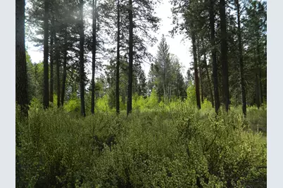 3000 Hwy 422 N #3000, Chiloquin, OR 97624 - Photo 10
