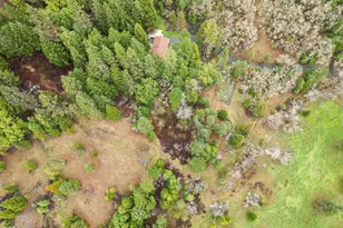3866 Placer Rd, Wolf Creek, OR 97497 - Photo 50