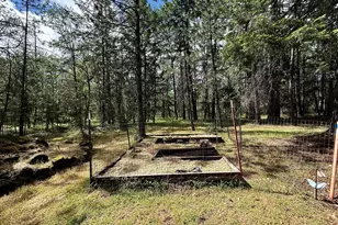 42256 Hwy 62, Prospect, OR 97536 - Photo 28