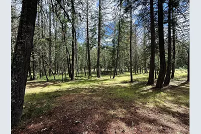 42256 Highway 62, Prospect, OR 97536 - Photo 26