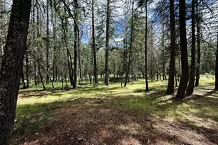 42256 Hwy 62, Prospect, OR 97536 - Photo 26