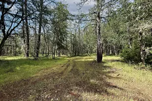 42256 Hwy 62, Prospect, OR 97536 - Photo 28