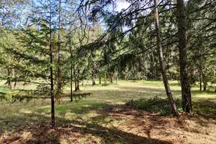 42256 Hwy 62, Prospect, OR 97536 - Photo 40