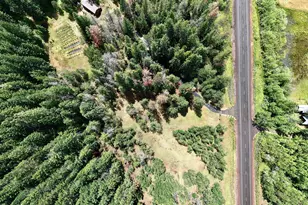 42256 Hwy 62, Prospect, OR 97536 - Photo 44