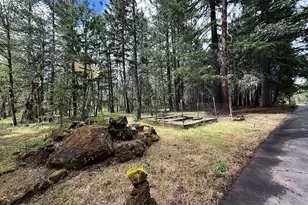 42256 Hwy 62, Prospect, OR 97536 - Photo 4