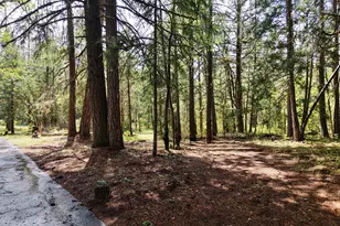 42256 Hwy 62, Prospect, OR 97536 - Photo 42