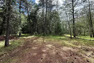 42256 Hwy 62, Prospect, OR 97536 - Photo 30