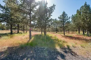 12400 SE Cotton Tail Ln, Prineville, OR 97754 - Photo 86