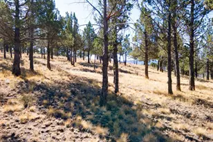 12400 SE Cotton Tail Ln, Prineville, OR 97754 - Photo 78
