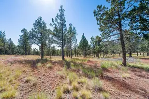 12400 SE Cotton Tail Ln, Prineville, OR 97754 - Photo 84