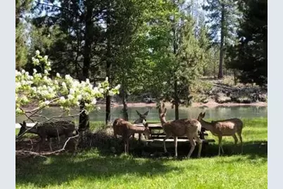 56446 Eclipse Drive, Bend, OR 97707 - Photo 6