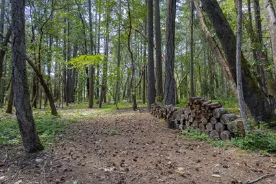 401 China Creek Road, Williams, OR 97544 - Photo 22