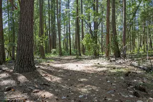 401 China Creek Rd, Williams, OR 97544 - Photo 1