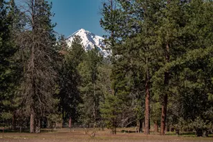 32907 River Bend Rd, Chiloquin, OR 97624 - Photo 68