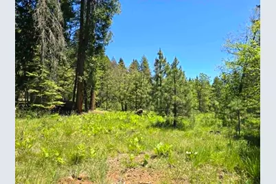 836 Ulrich Road, Prospect, OR 97536 - Photo 46