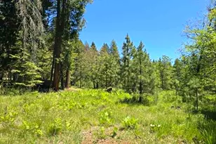 836 Ulrich Rd, Prospect, OR 97536 - Photo 46