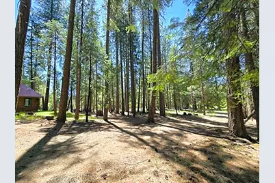 836 Ulrich Road, Prospect, OR 97536 - Photo 32