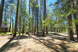 836 Ulrich Rd, Prospect, OR 97536 - Photo 32