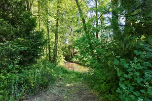 1135 E Fork Rd, Williams, OR 97544 - Photo 58