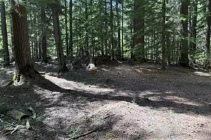 22745 Hwy 58, Crescent Lake, OR 97733 - Photo 36