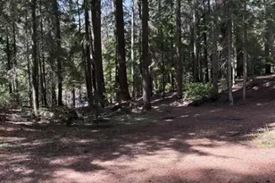 22745 Hwy 58, Crescent Lake, OR 97733 - Photo 38