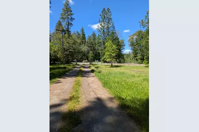 575 Kirkham Road, Cave Junction, OR 97523 - Photo 6