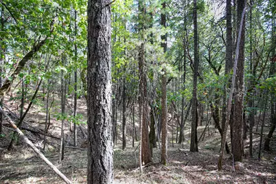 Quartz Creek Road #R301574, Merlin, OR 97532 - Photo 16