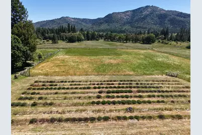 335 Sheraton Drive, Williams, OR 97544 - Photo 8