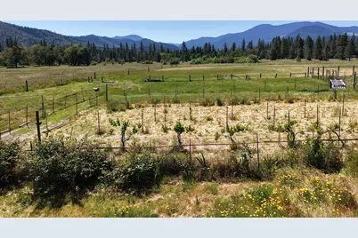 335 Sheraton Drive, Williams, OR 97544 - Photo 58