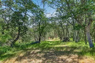 7130 Hwy 66, Ashland, OR 97520 - Photo 84