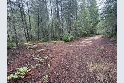 Lone Mountain Road #1300, O'Brien, OR 97534 - Photo 16