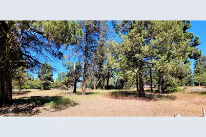 6550 Osprey Lane, Klamath Falls, OR 97601 - Photo 1
