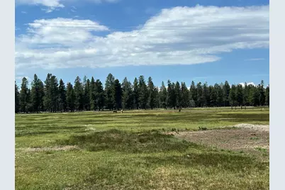 151772 Beal Road, La Pine, OR 97739 - Photo 6