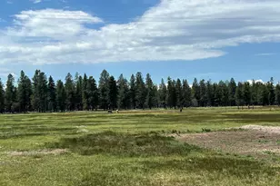 151772 Beal Rd, La Pine, OR 97739 - Photo 6