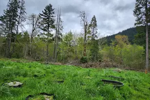 967 Placer Rd, Wolf Creek, OR 97497 - Photo 8