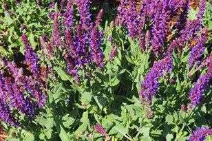 5162 SE David Way SE, Prineville, OR 97754 - Photo 36