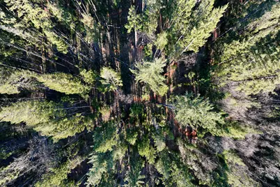 0 Redwood Highway #39-08-16-D0 Lot 600, Cave Junction, OR 97523 - Photo 18